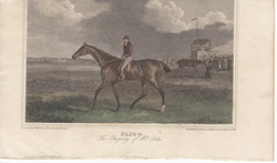 Fox hunting, polo and other horse prints